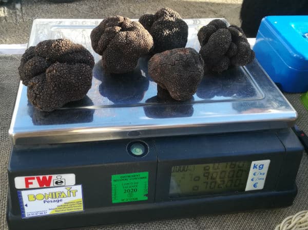 truffes-marché-animateur de la fête de la truffe-acheteurs