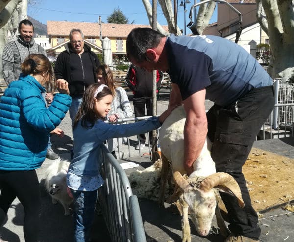 animateur de foire agricole-visiteurs-succès-